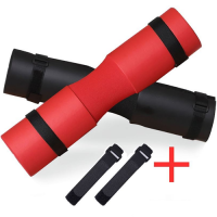 اسفنجة البار اسفنجة البار