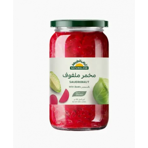 مخمر ملفوف مع شمندر من أرض الطبيعة