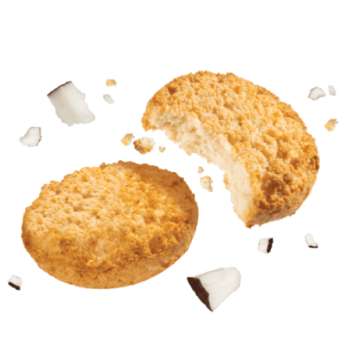 بسكويت جوز الهند ناتين