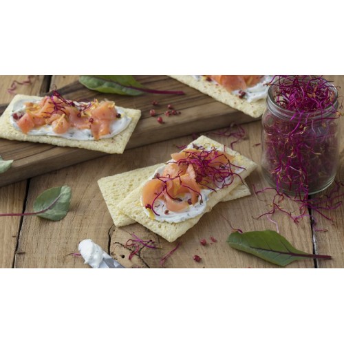 شرائح خبز محمص فيتي كروكانتي من شار